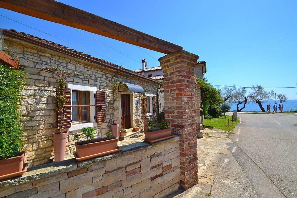 Villa Giardin Novigrad Istria Exteriör bild