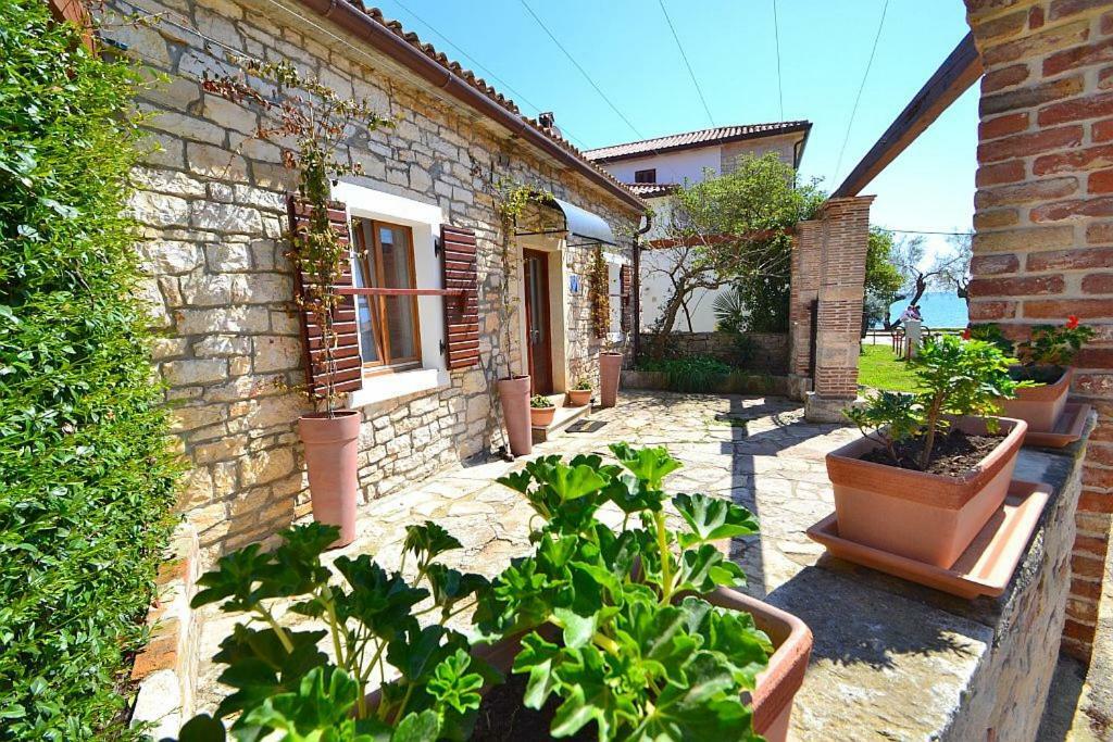 Villa Giardin Novigrad Istria Exteriör bild